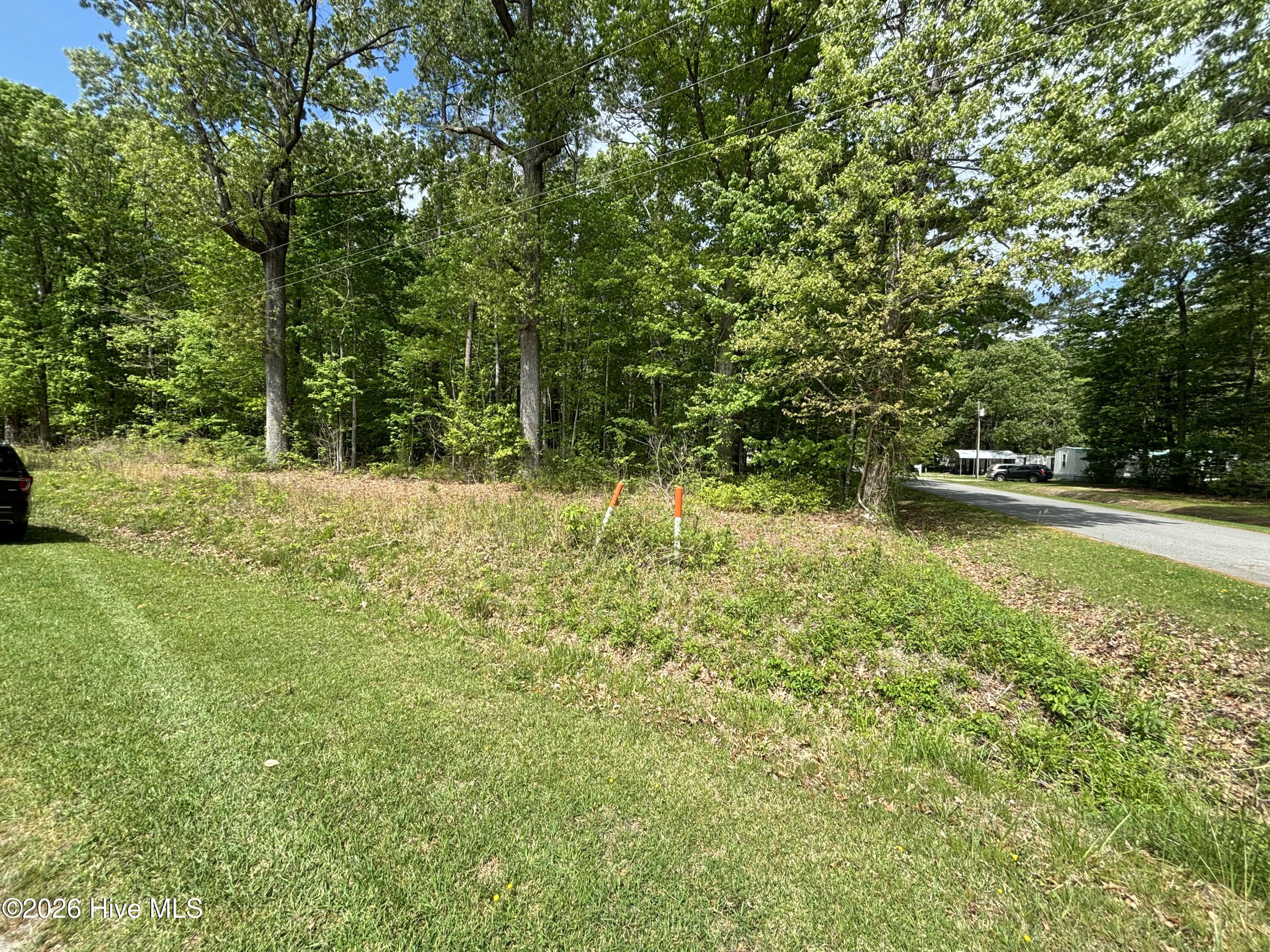 Image 3: IMG_4339
