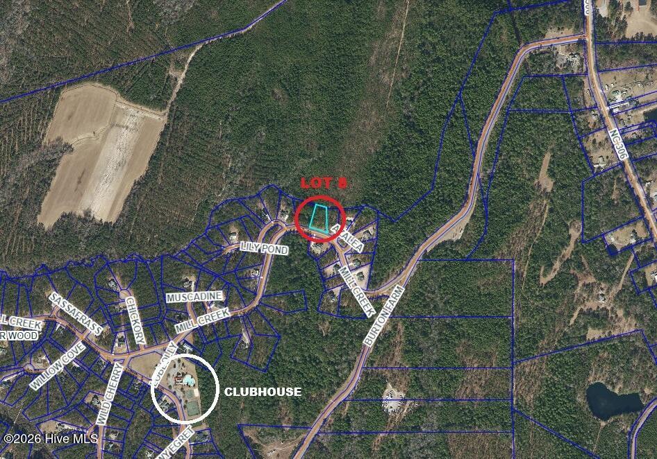 Image 4: Lot 8 pic 2