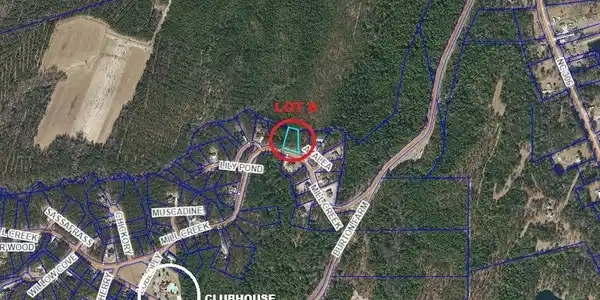 Image 4: Lot 8 pic 2