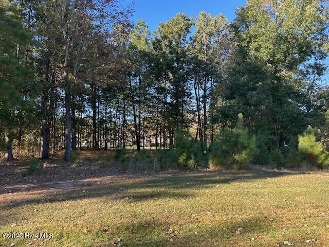 Image 2: Lot 14N 2