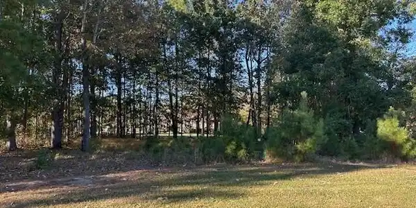 Image 2: Lot 14N 2