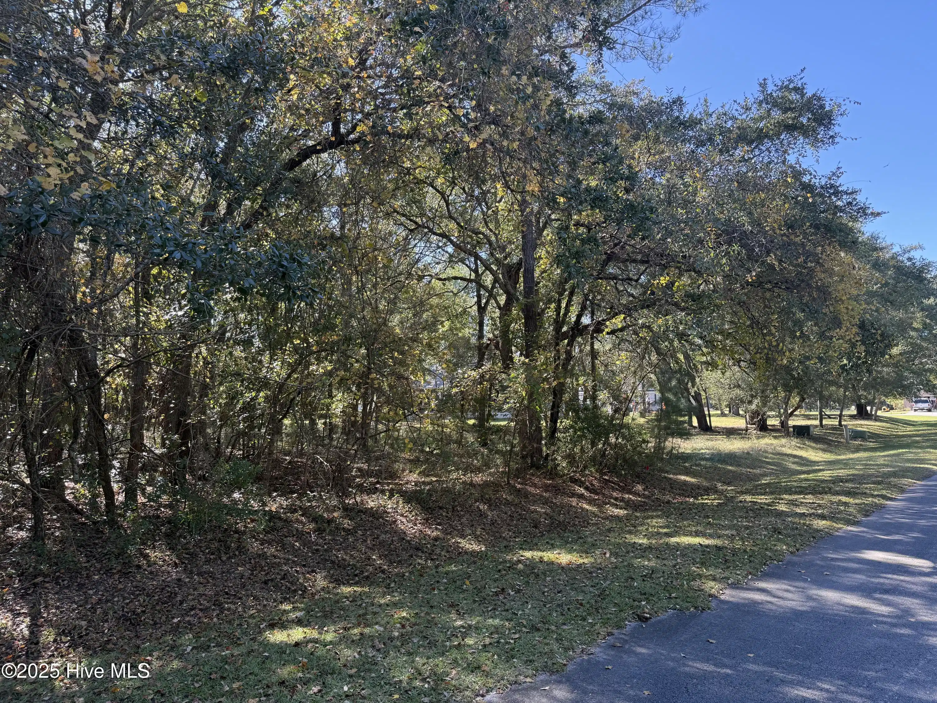 Image 1: 902 Firefly Ct.