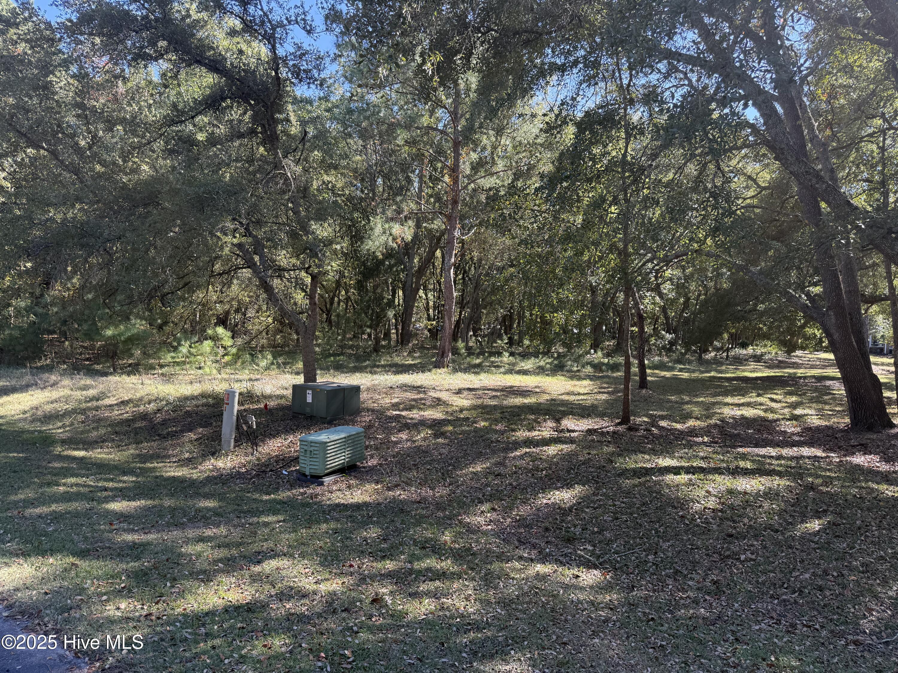 Image 2: IMG_0297