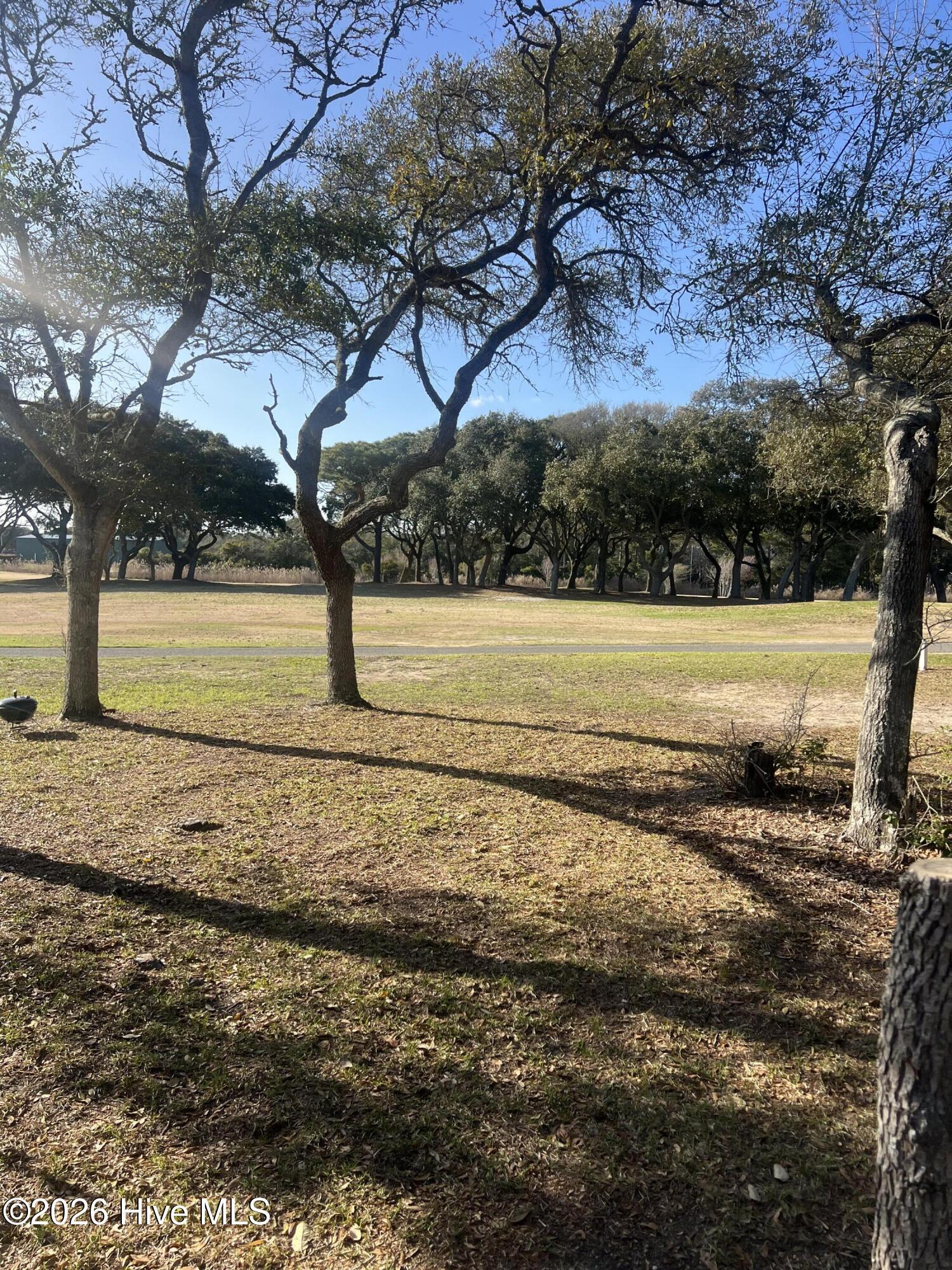Image 3: Backyard View