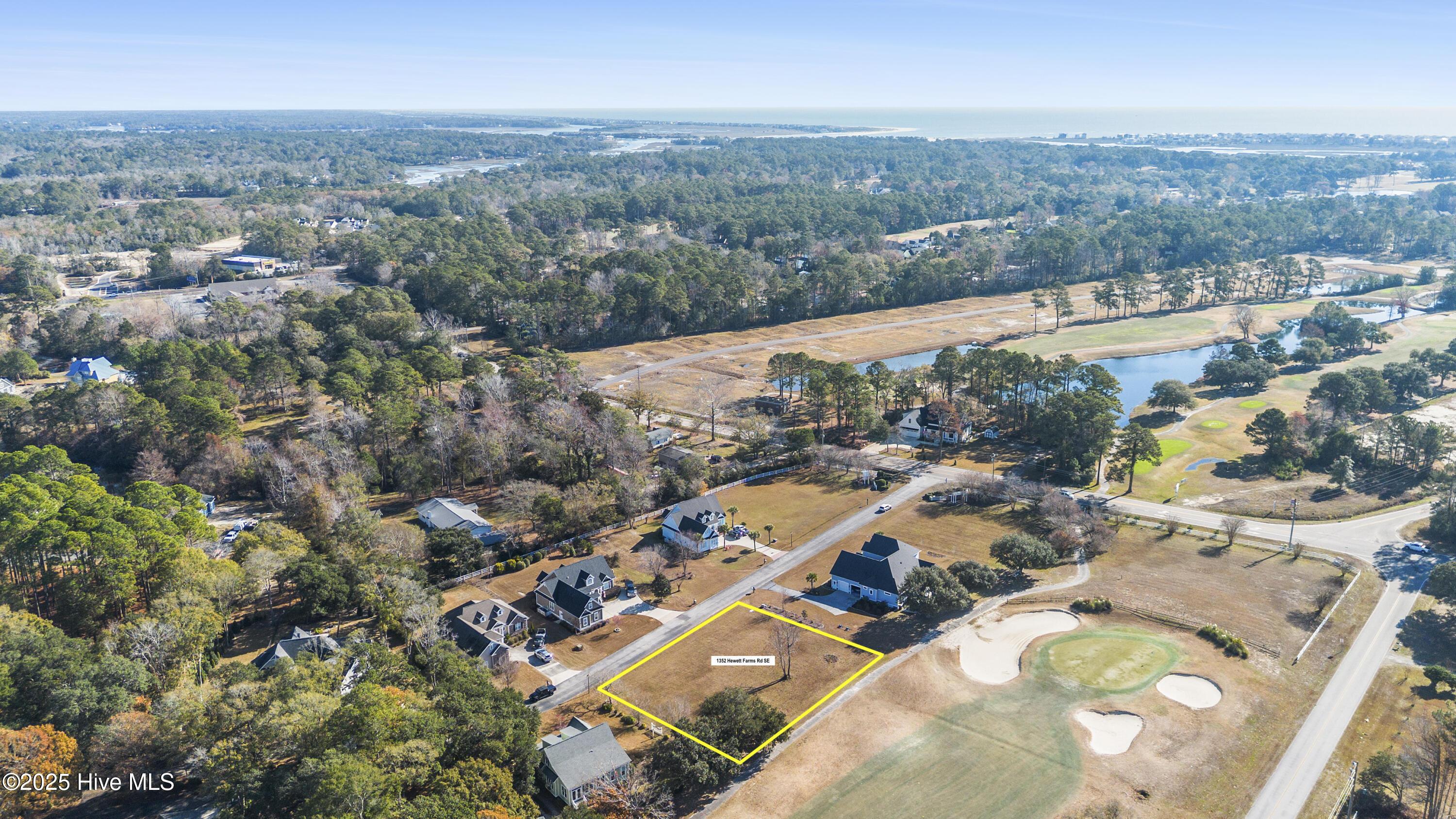 Image 3: DJI_0786