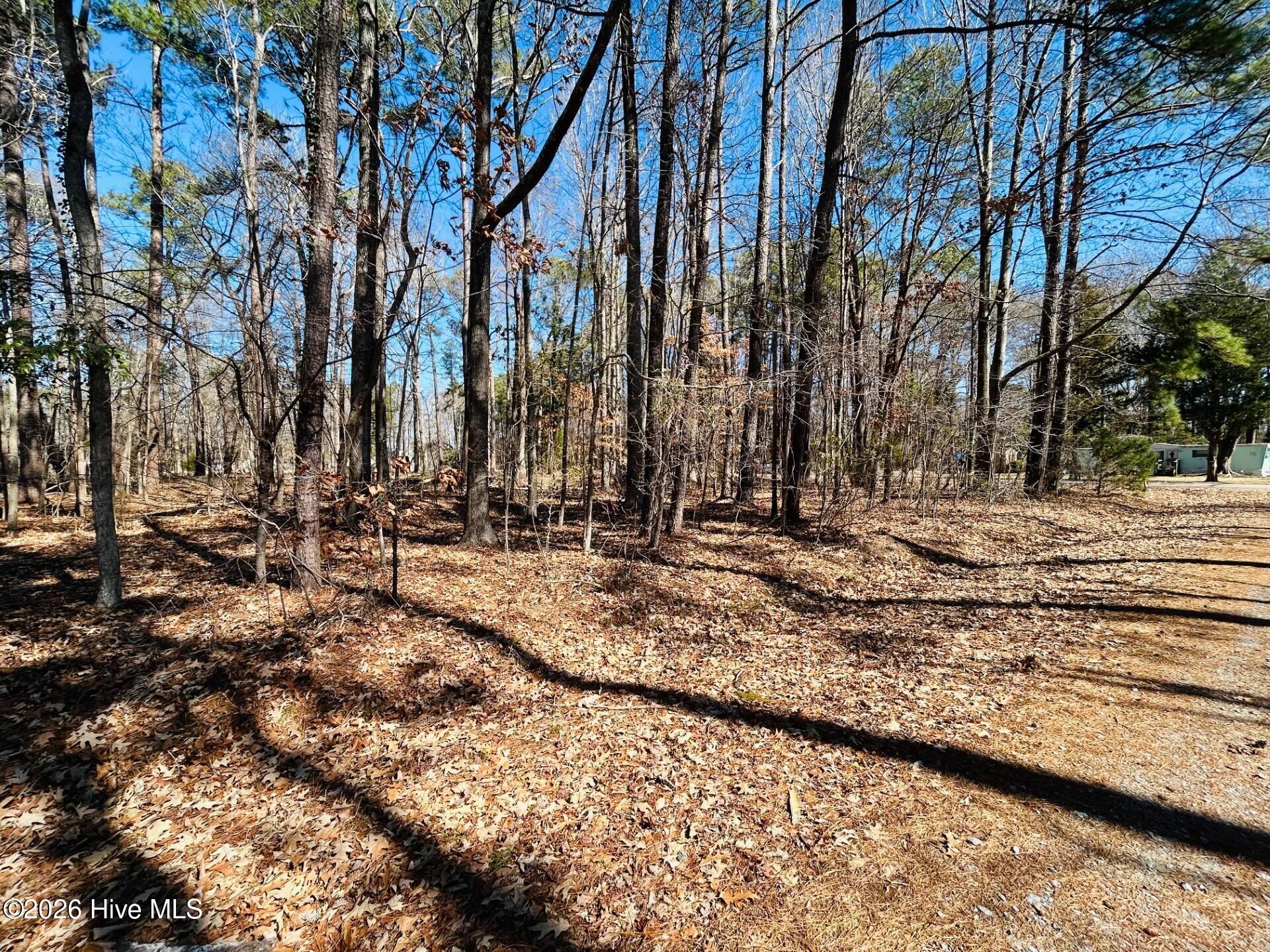 Image 3: C 29 Left Side