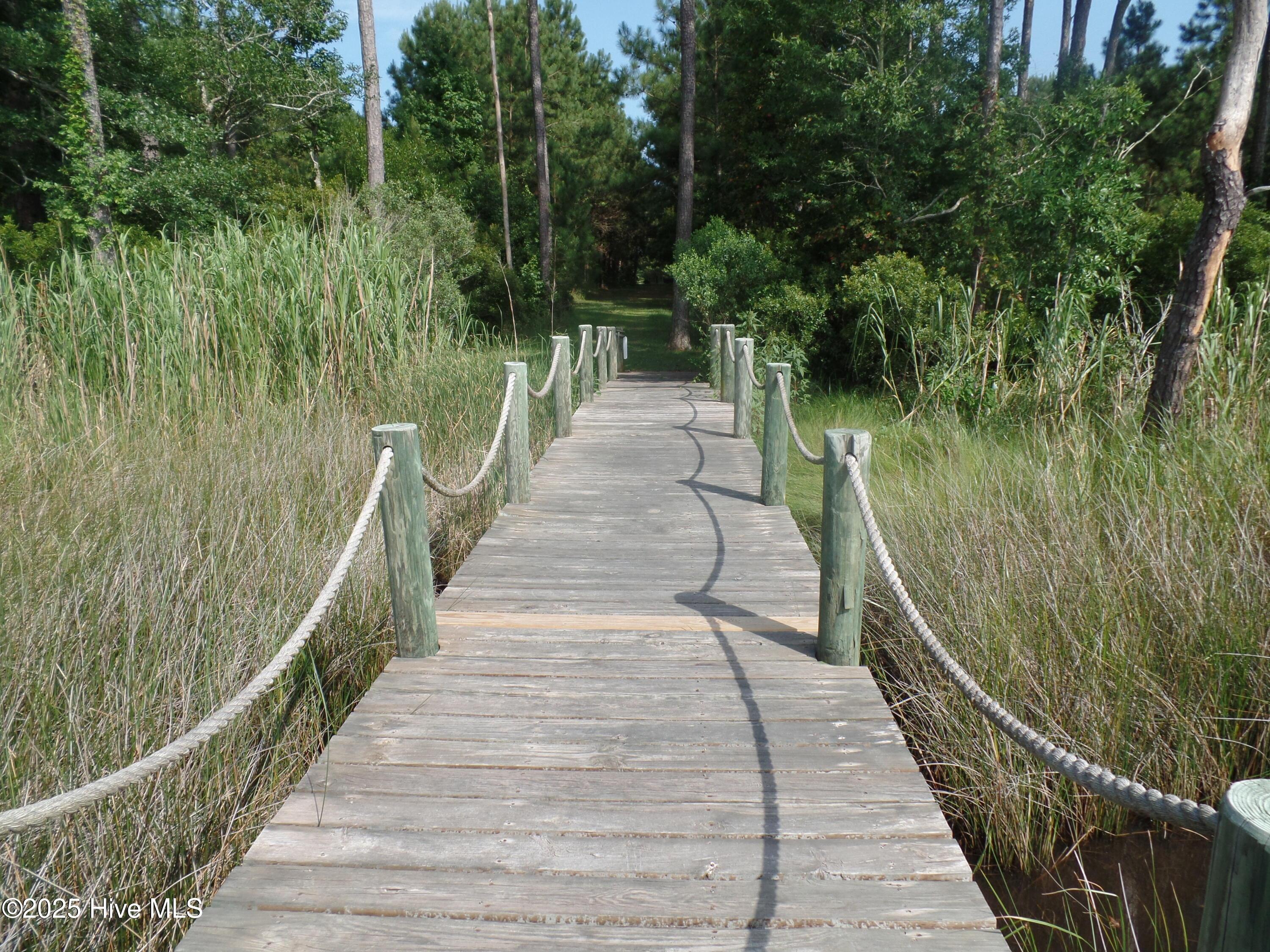 Image 4: Merrimon HOA Boardwalk