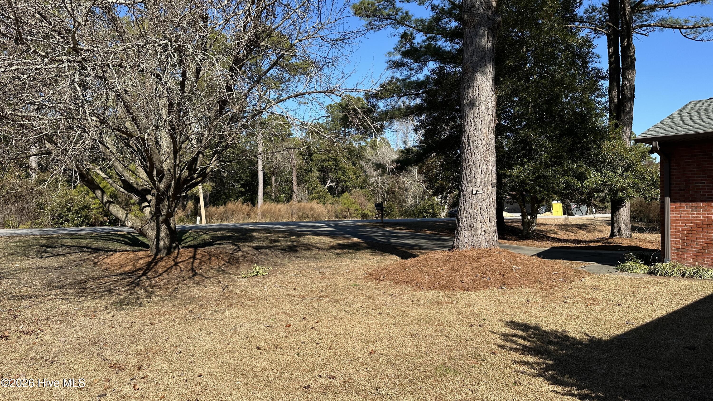 Image 4: 1935 Caracara Dr.