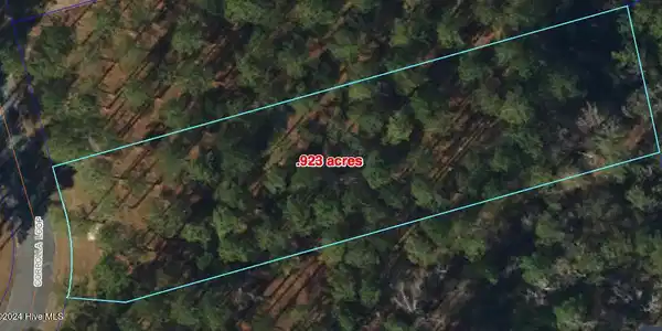 95 Corrolla Loop Road