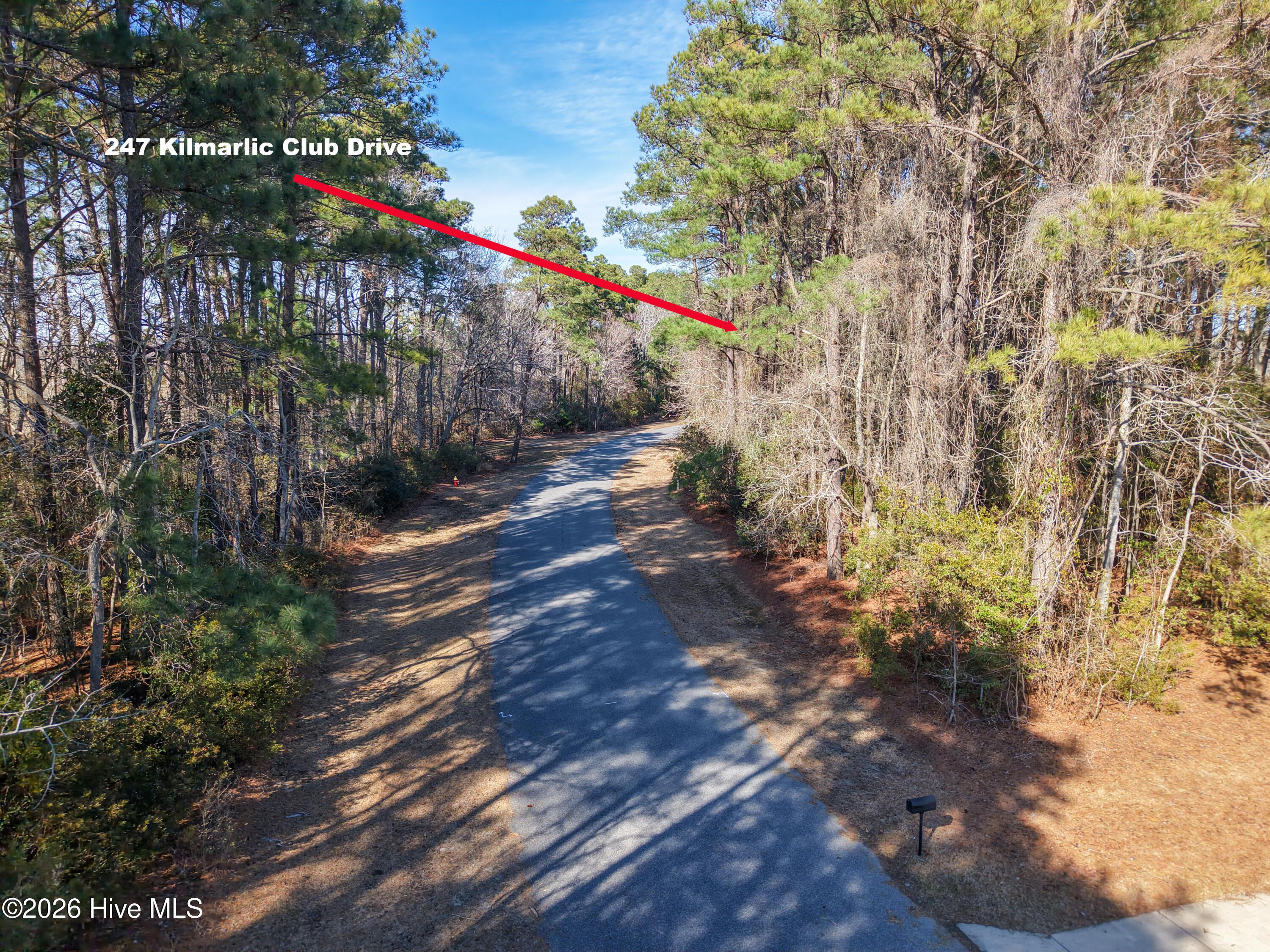 Image 3: DJI_20260224143143_0149_DeditA