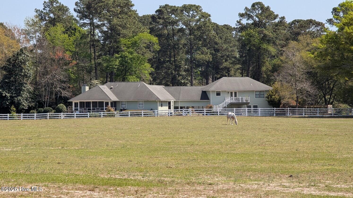 Image 4: 2 From Pasture