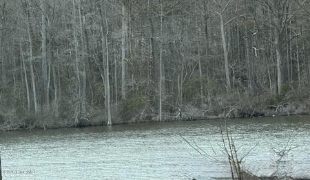 269 Creek Road