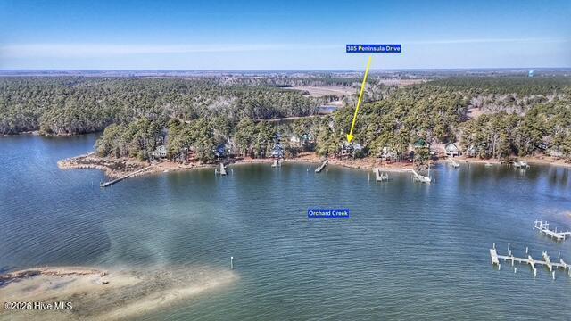 Image 3: dji_fly_20260128_130430_0313_17696246533