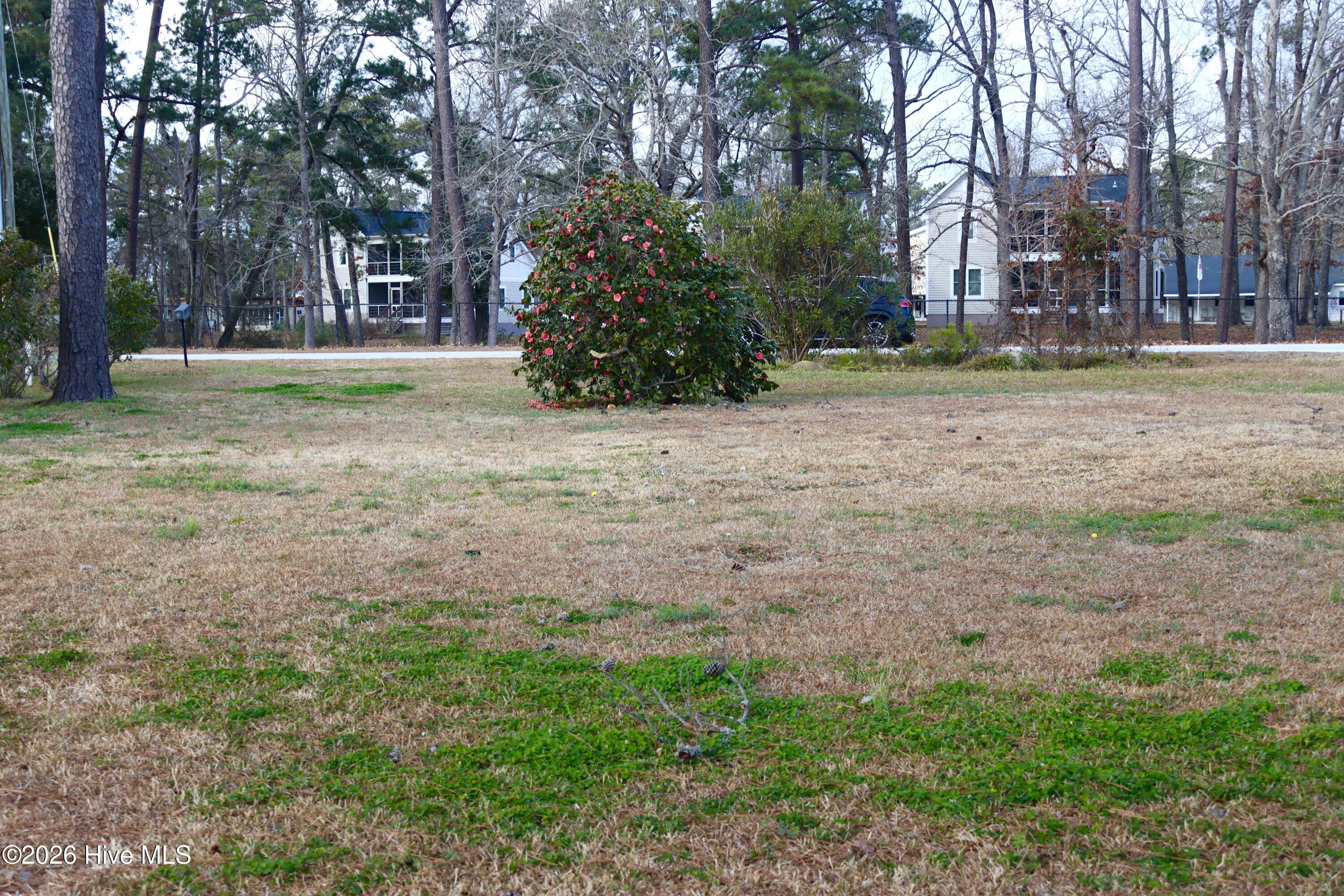 Image 2: Looking toward street