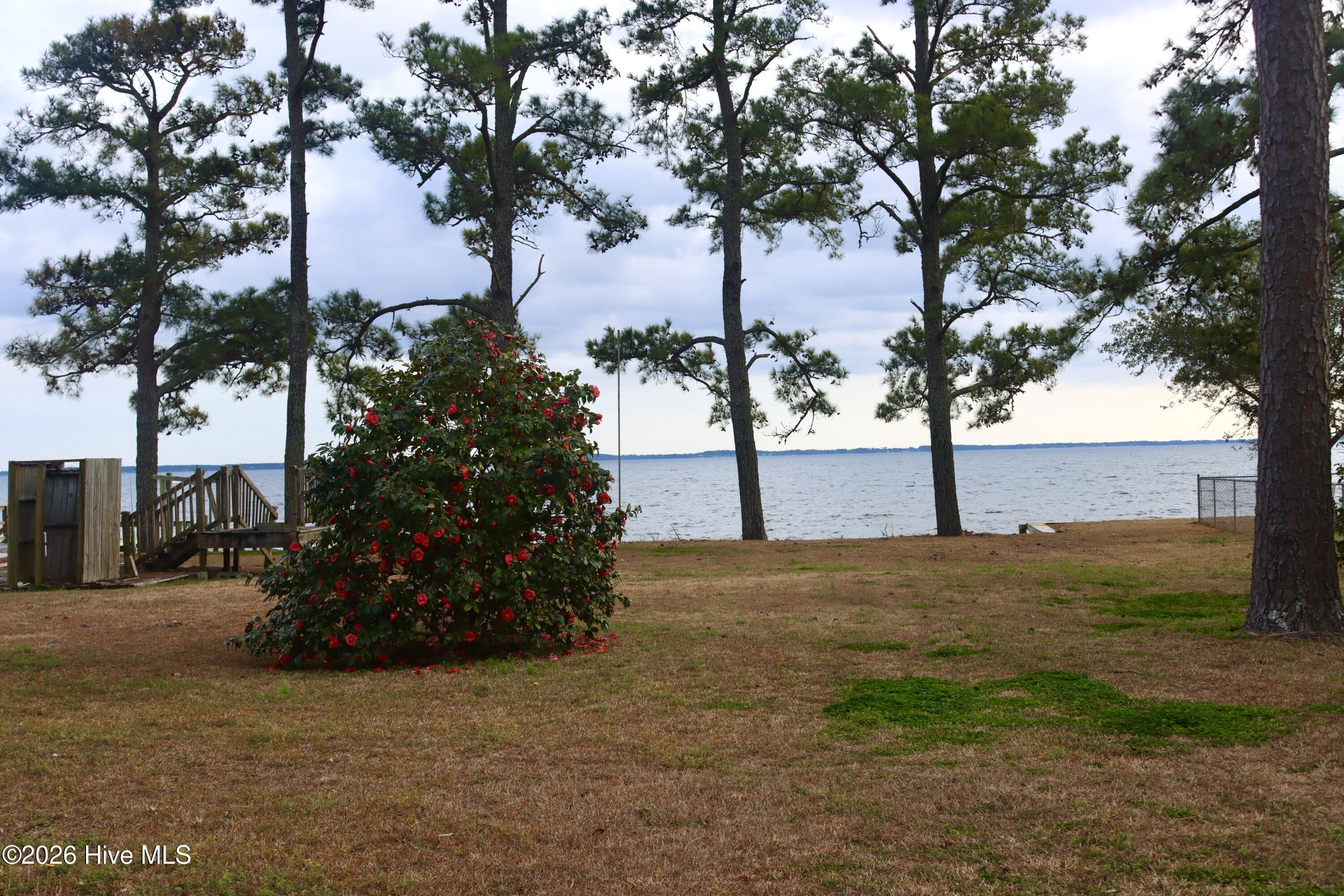 Image 4: Looking toward water