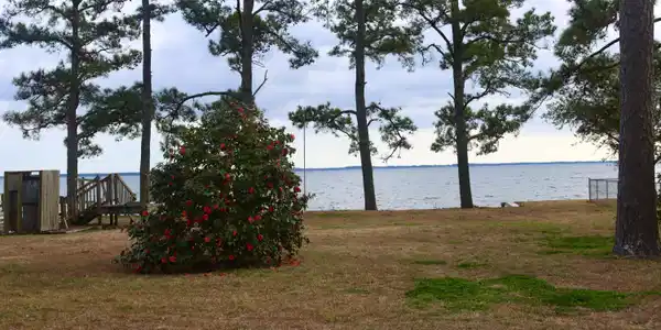Image 4: Looking toward water