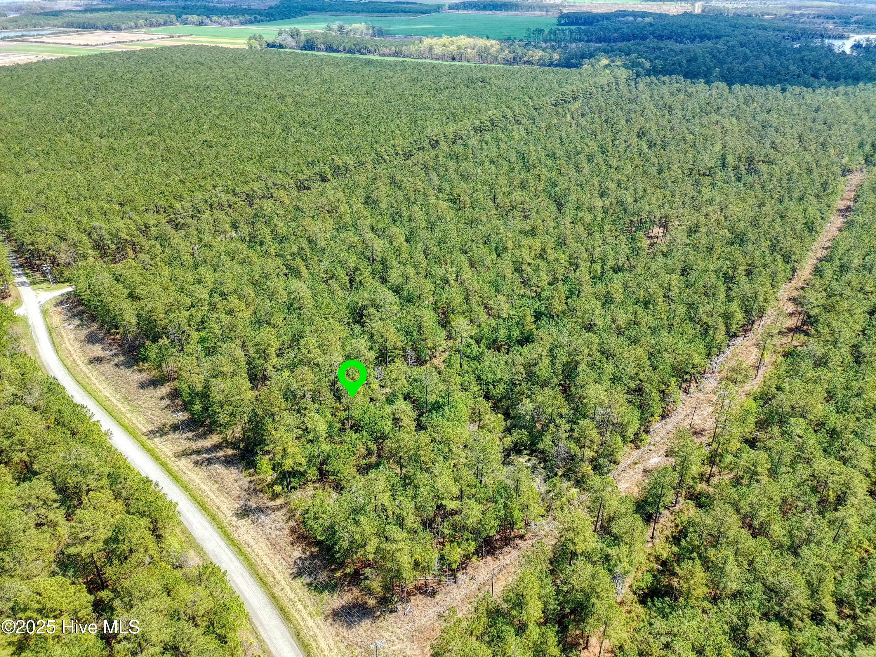 Image 1: PTSC_0084b-WithPin-20