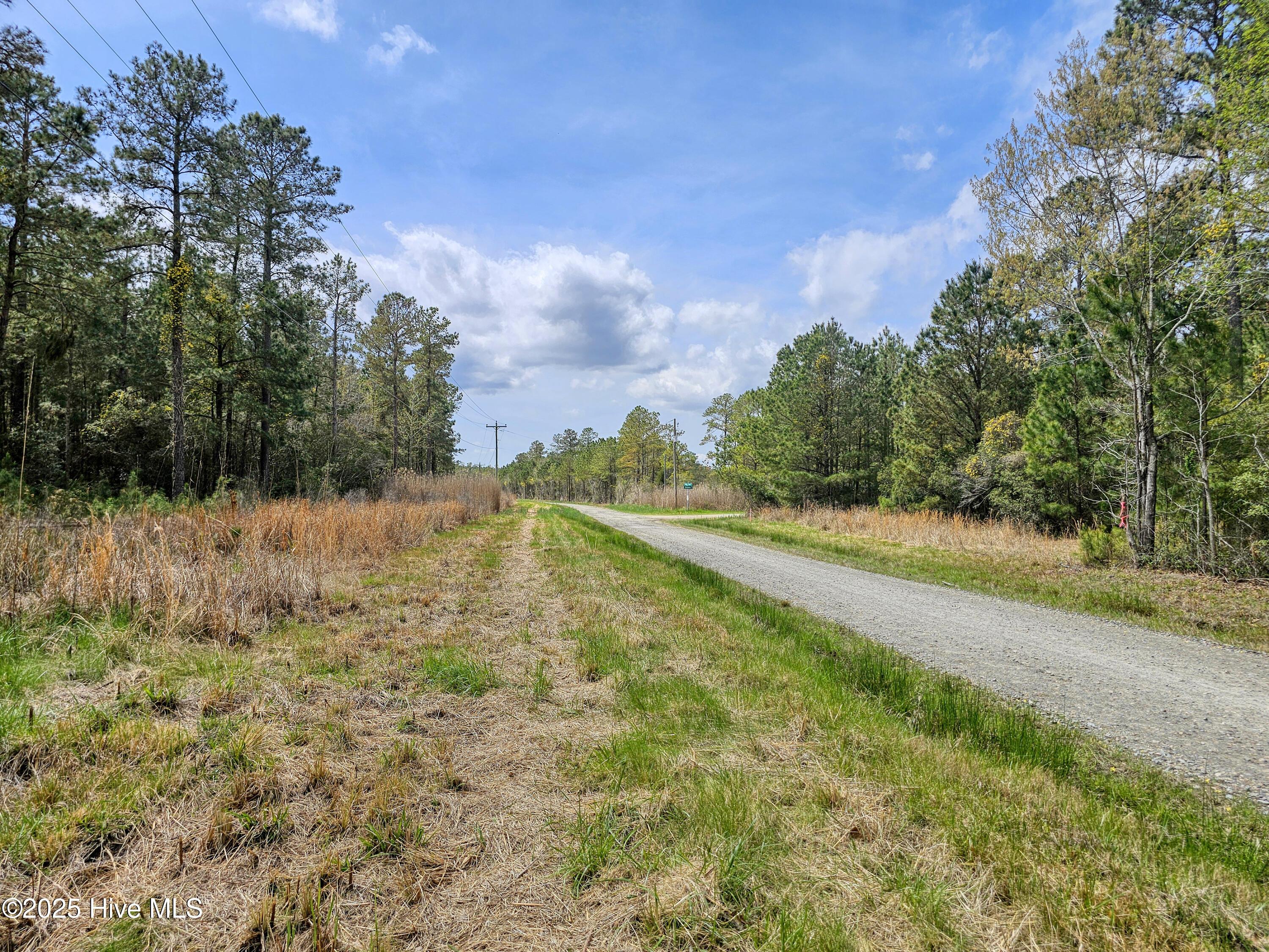 Image 2: 20250401_130314b