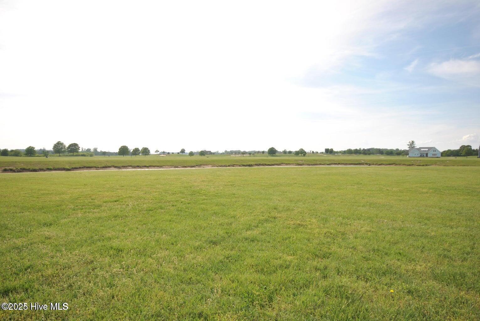 Image 4: Lot