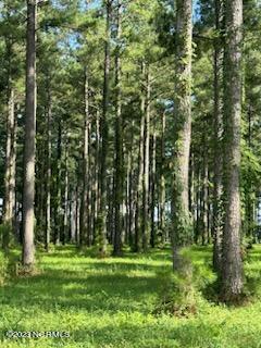 Image 4: Lot 95 6