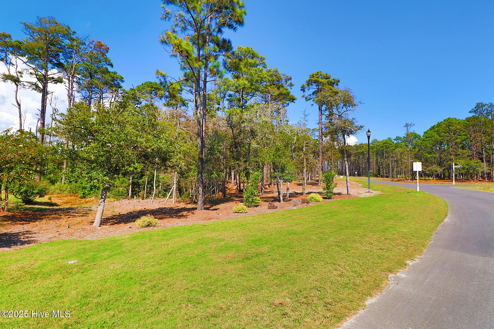Image 4: 467 Freedom Park Road