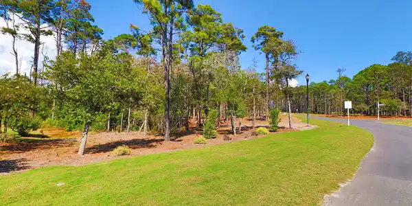 Image 4: 467 Freedom Park Road
