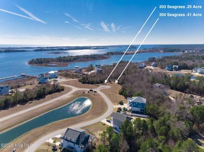 203 Seagrass Court