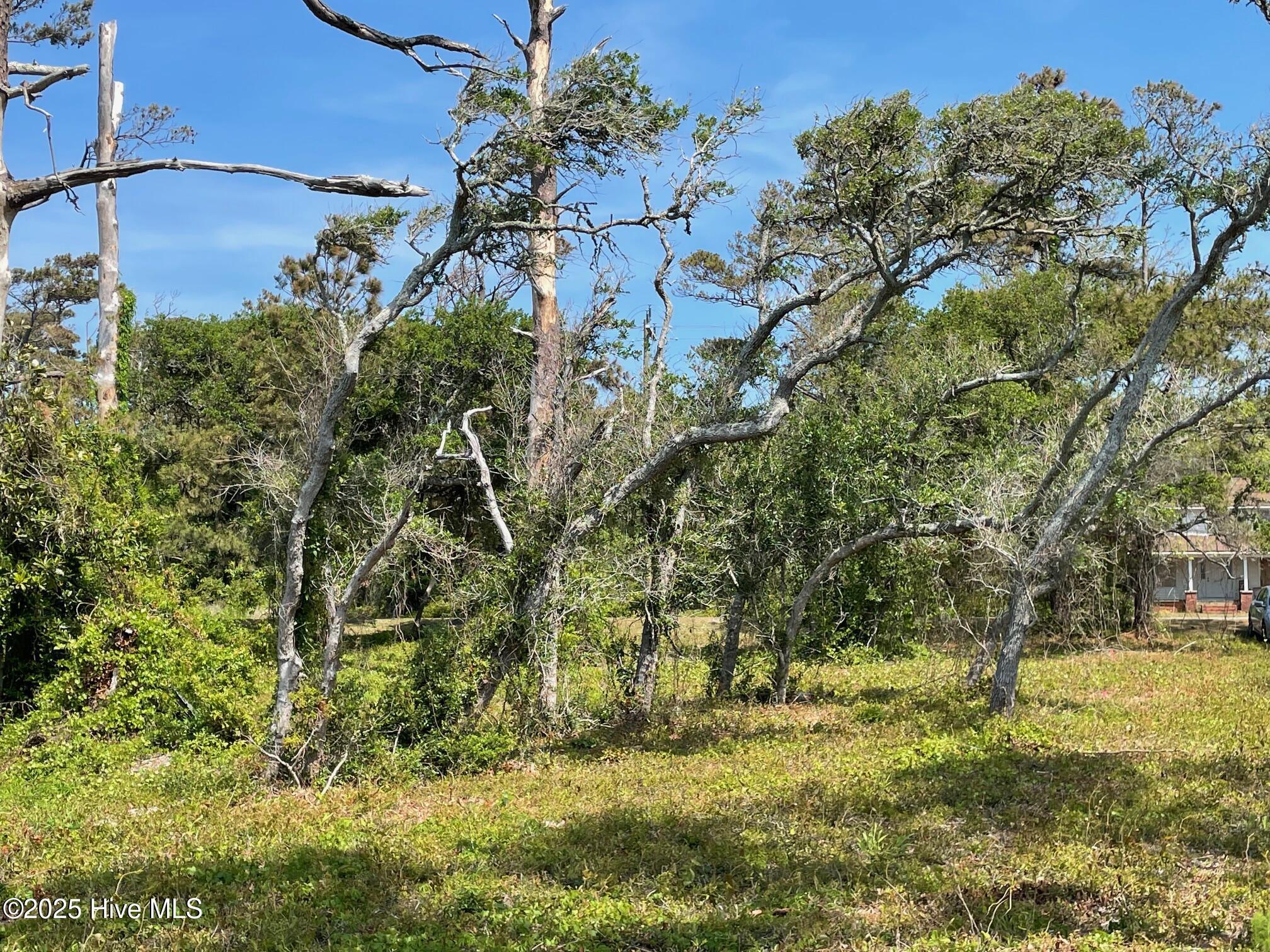 Image 4: 530 & 540 Seashore Dr.