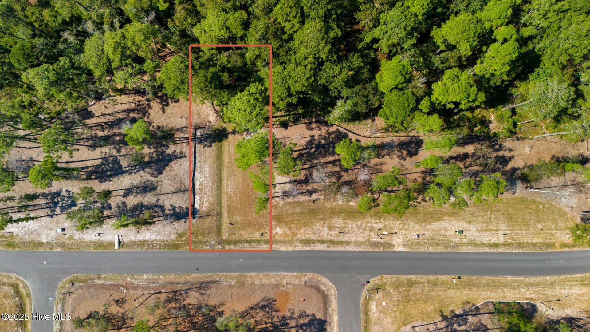 Image 2: 479 Freedom Park Rd