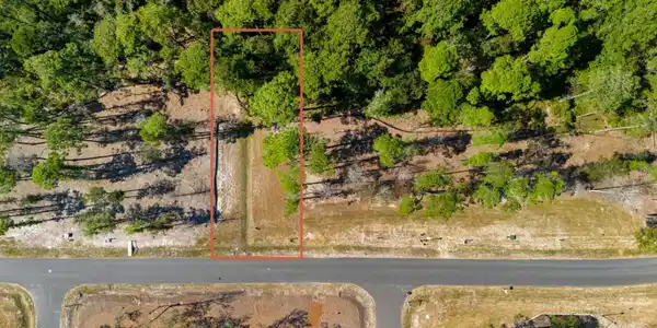 Image 2: 479 Freedom Park Rd