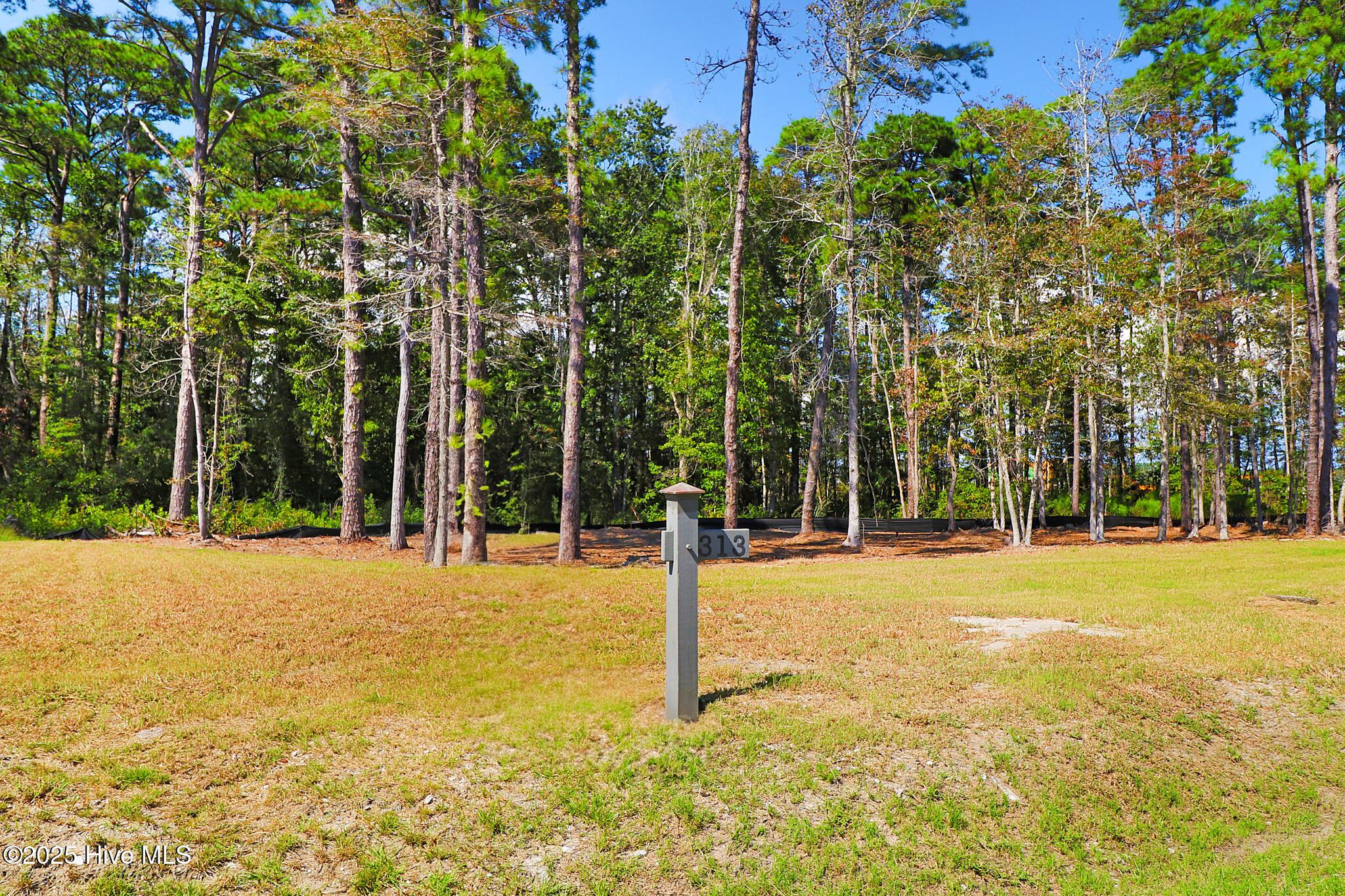 Image 3: 479 Freedom Park Rd