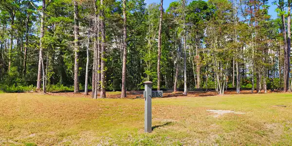 Image 3: 479 Freedom Park Rd