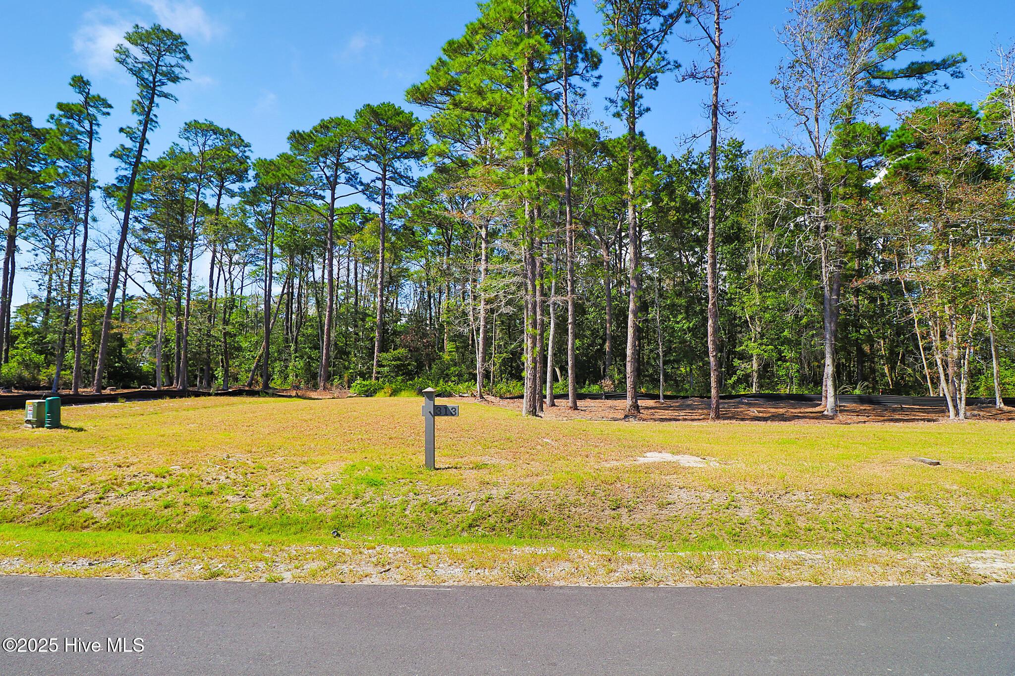 Image 4: 479 Freedom Park Rd
