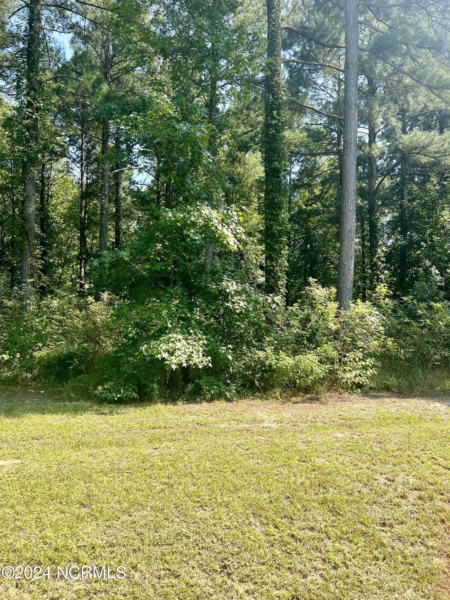 Image 3: Lot 31