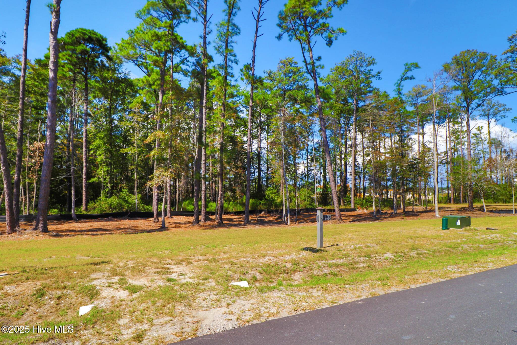 Image 3: 501 Freedom Park Rd