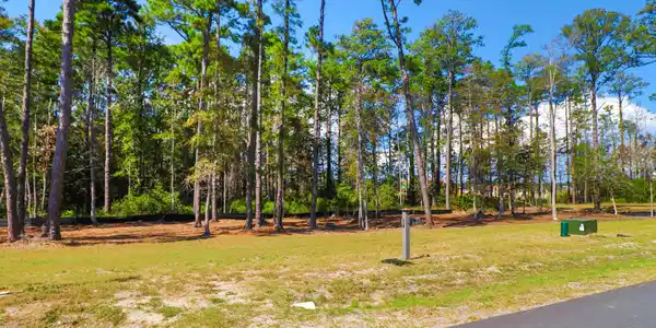 Image 3: 501 Freedom Park Rd