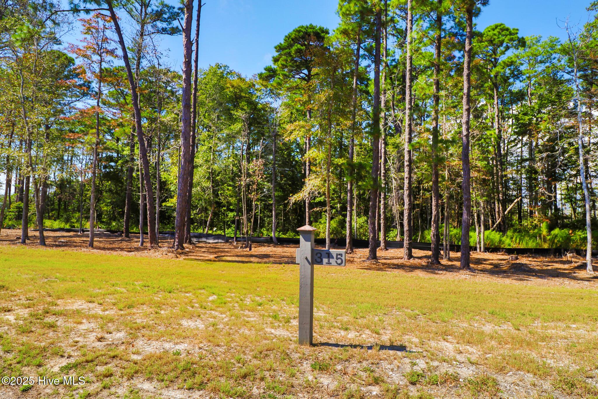 Image 4: 501 Freedom Park Rd
