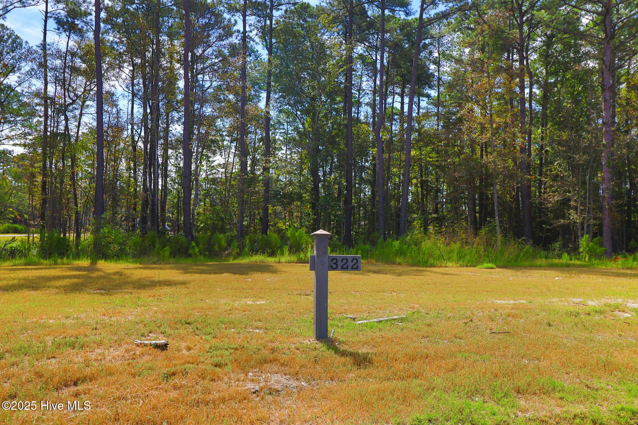 Image 3: 509 Swan Court