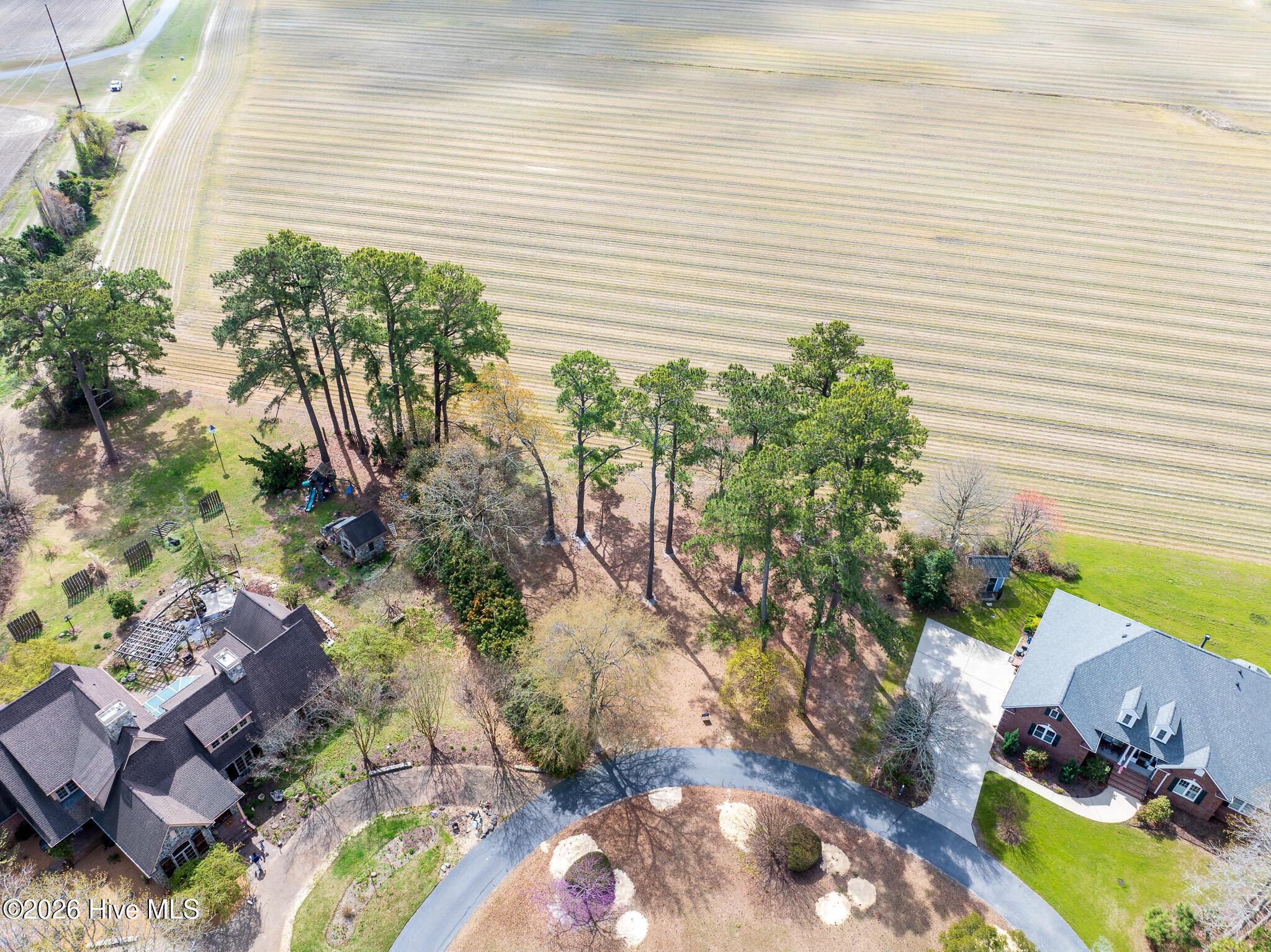 Image 4: DJI_20250329113516_0138_D