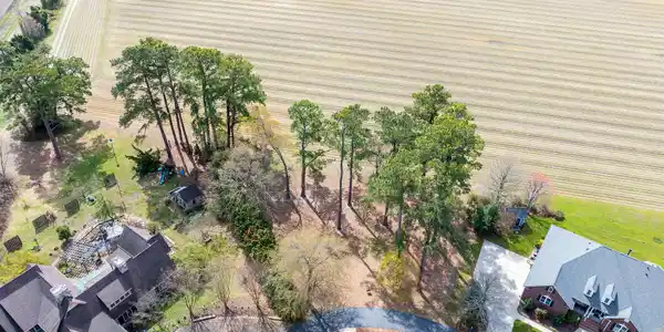 Image 4: DJI_20250329113516_0138_D