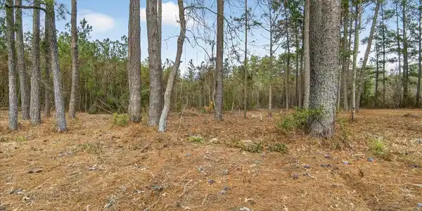 Image 4: 01-Finished 2162 Old Pamilco Beach Rd (1