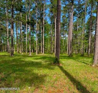 52 Corolla Loop Road