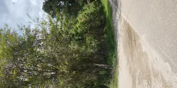 500 East Ridge Road
