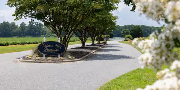 Image 2: Entrance