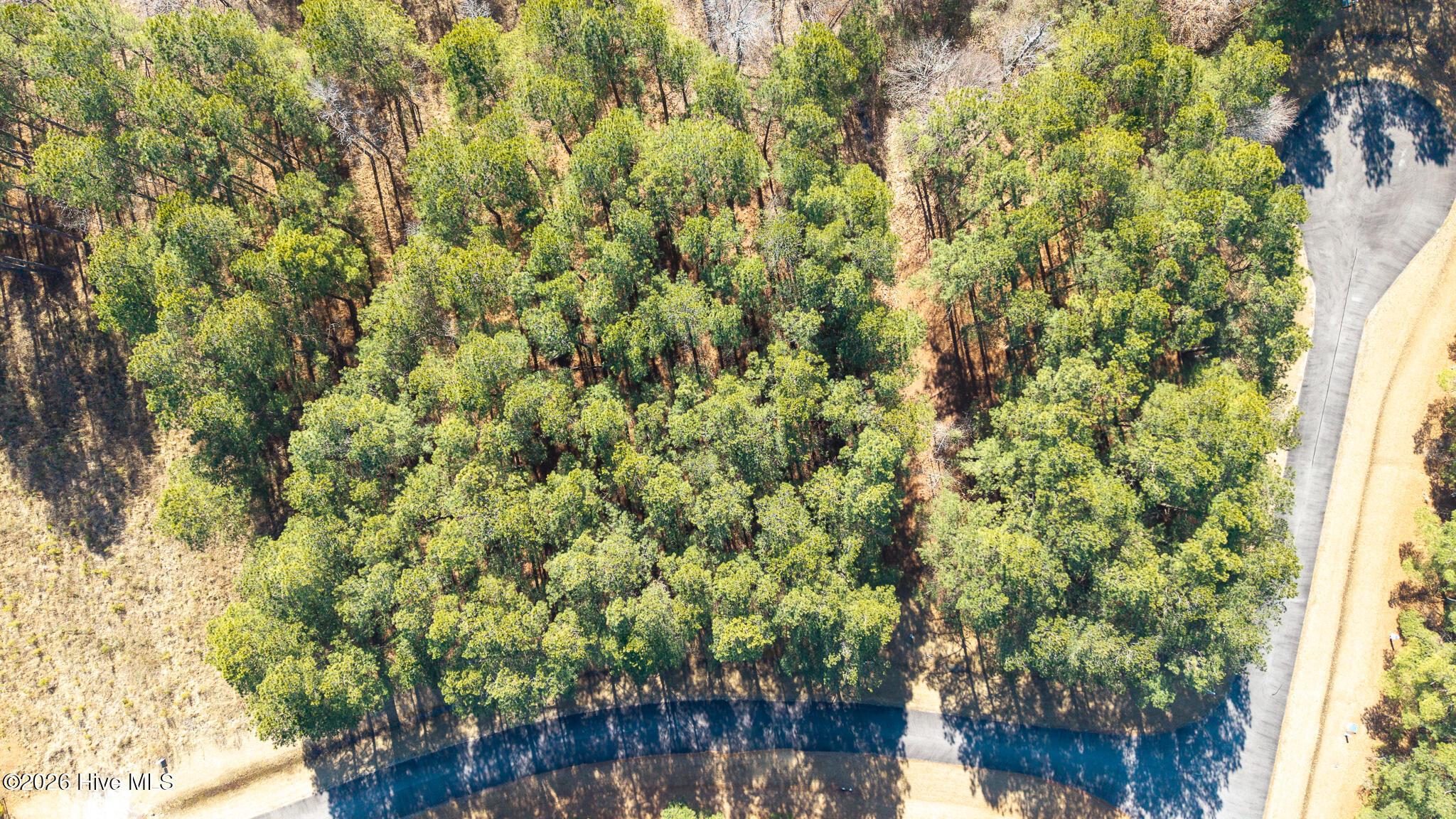 Image 4: 404 Plumtree Cir-05