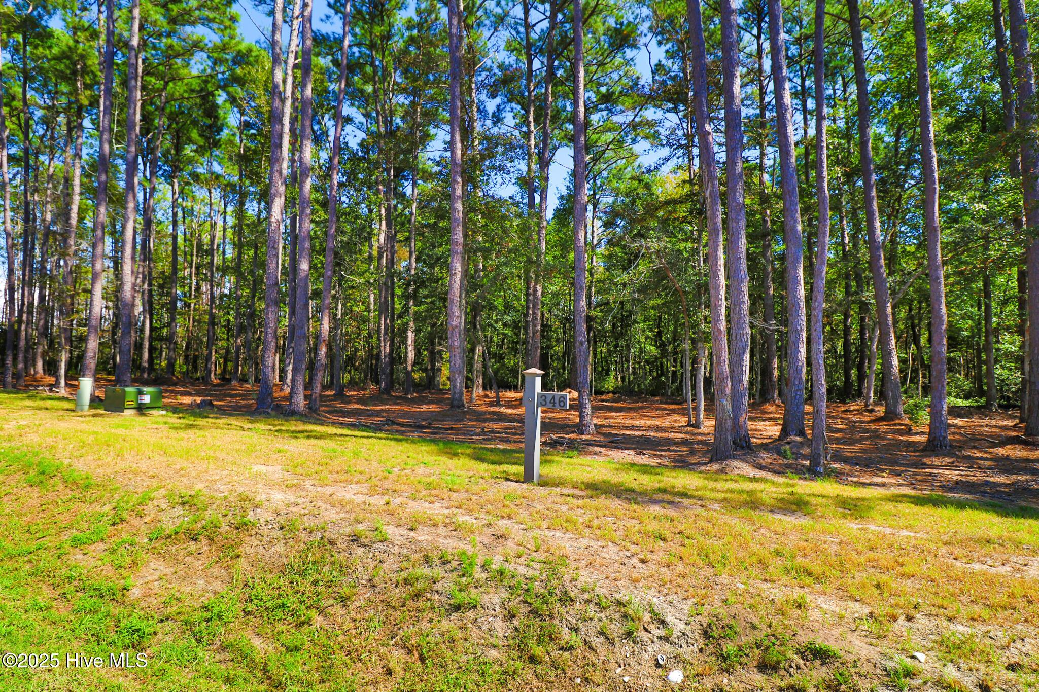 Image 3: 508 Freedom Park Rd