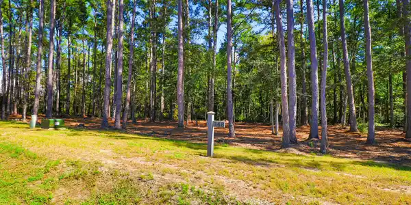 Image 3: 508 Freedom Park Rd