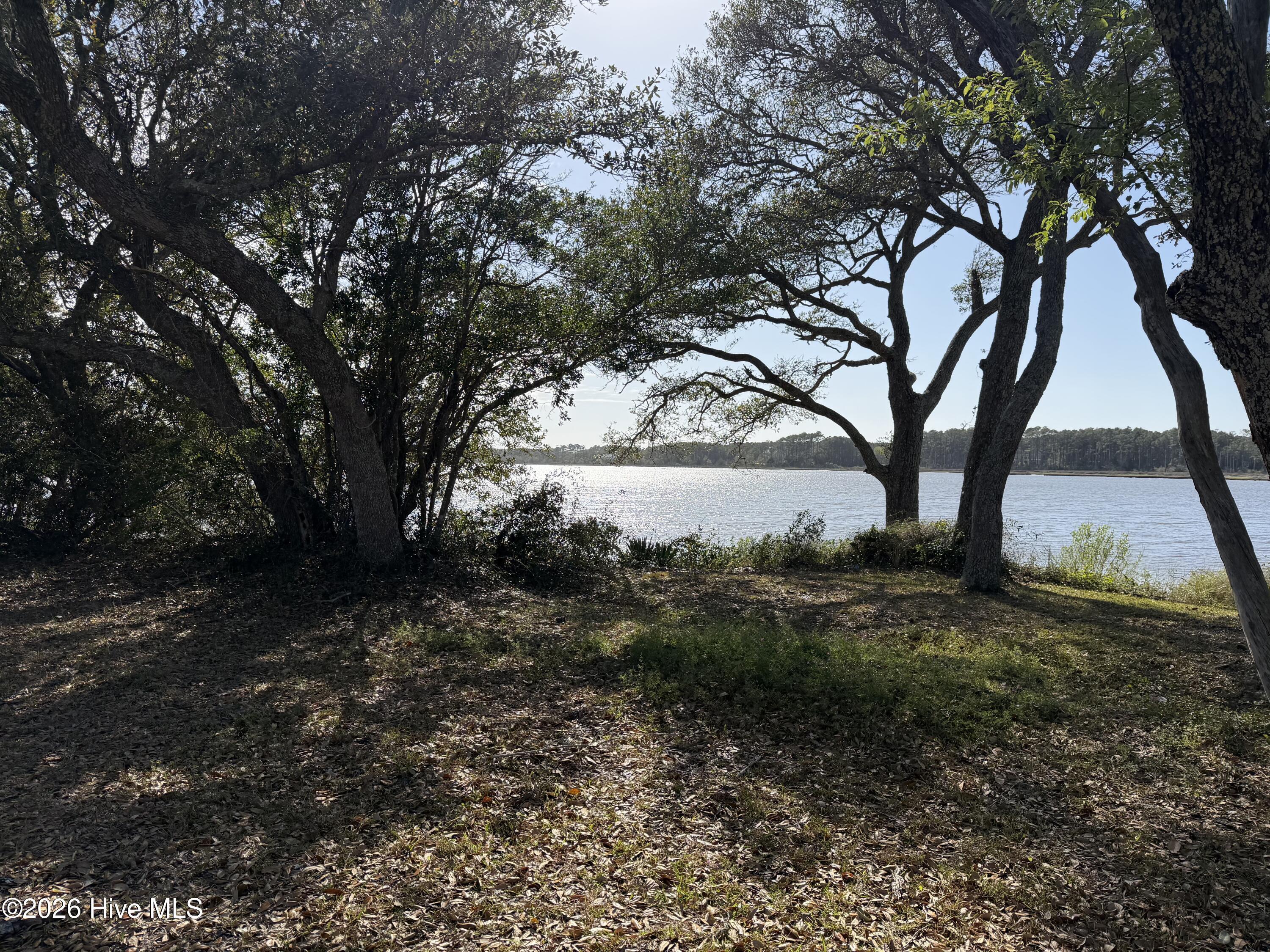 Image 1: IMG_0088