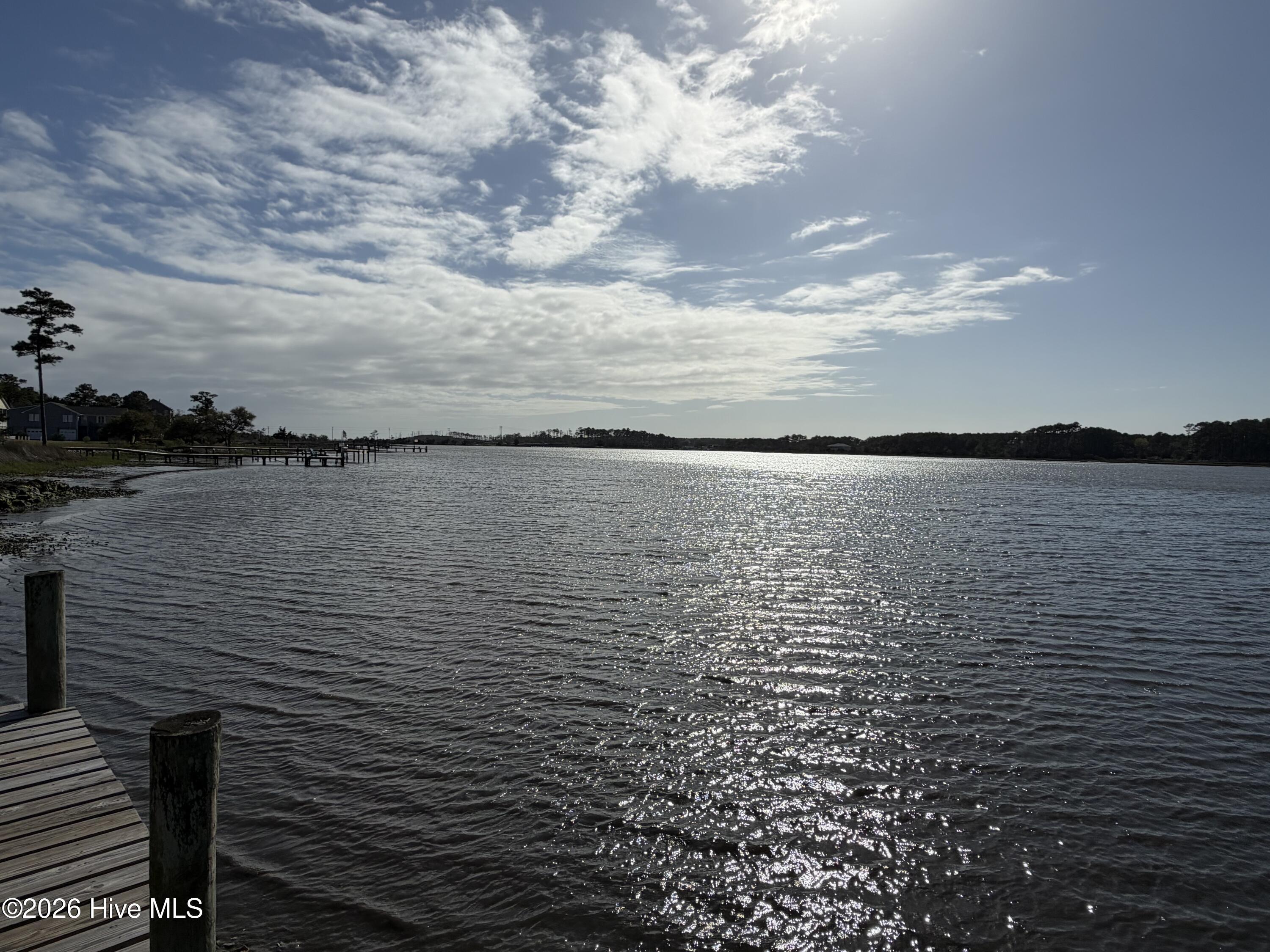 Image 4: IMG_0095