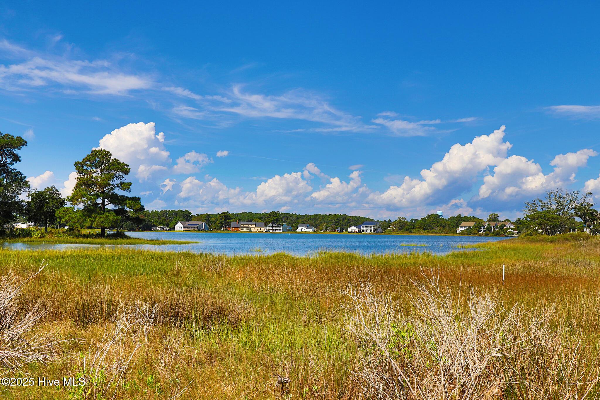 Image 4: 533 Freedom Park Rd